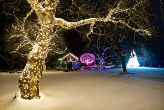Magical winter scene featuring illuminated trees and a cozy house in snowy Brentwood Bay, Canada.