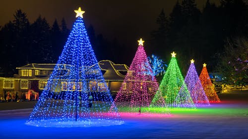 Christmas Light Trees with Star on Top