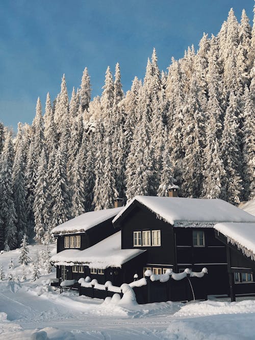 Wooden House by Woods in Winter