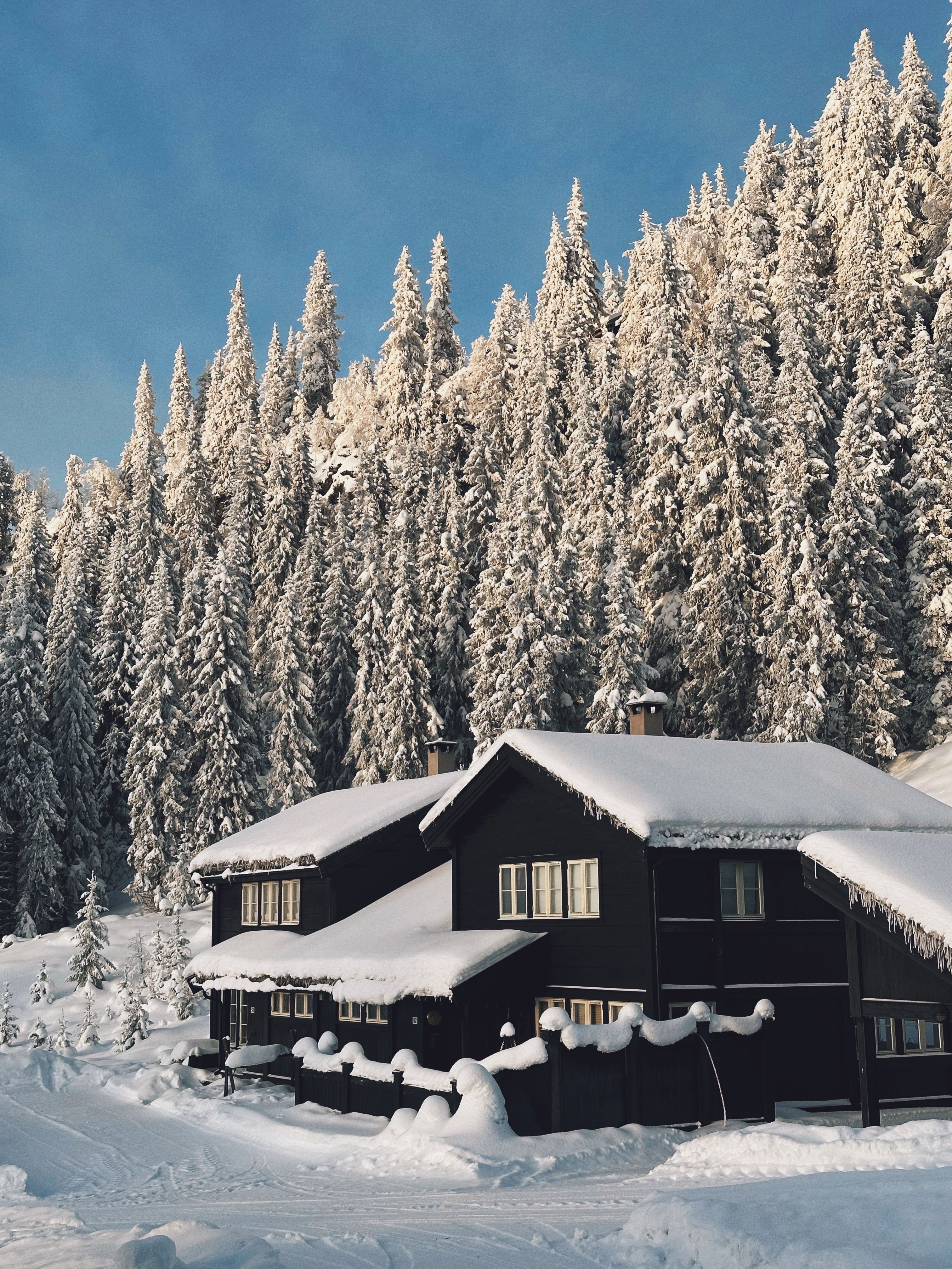 Wooden Mountain Cottage in Winter · Free Stock Photo