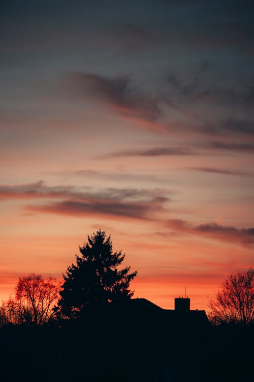 Free stock photo of bland, colorspot, in silhouette