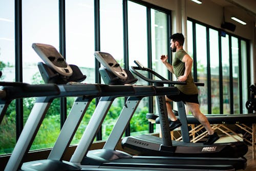 Free An on Treadmill Stock Photo