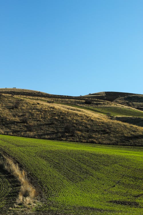 Imagine de stoc gratuită din agricultură, câmp, deal