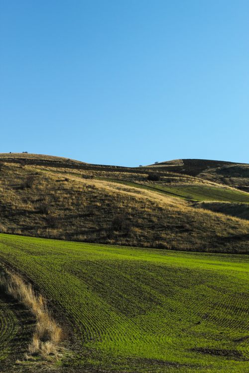 Free A beautiful view of green and brown hillside fields under a clear blue sky. Stock Photo