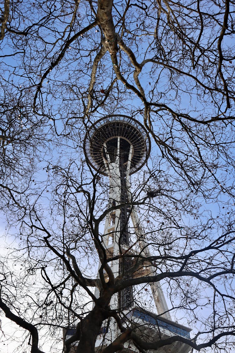 The Space Needle In Seattle, Washington, USA