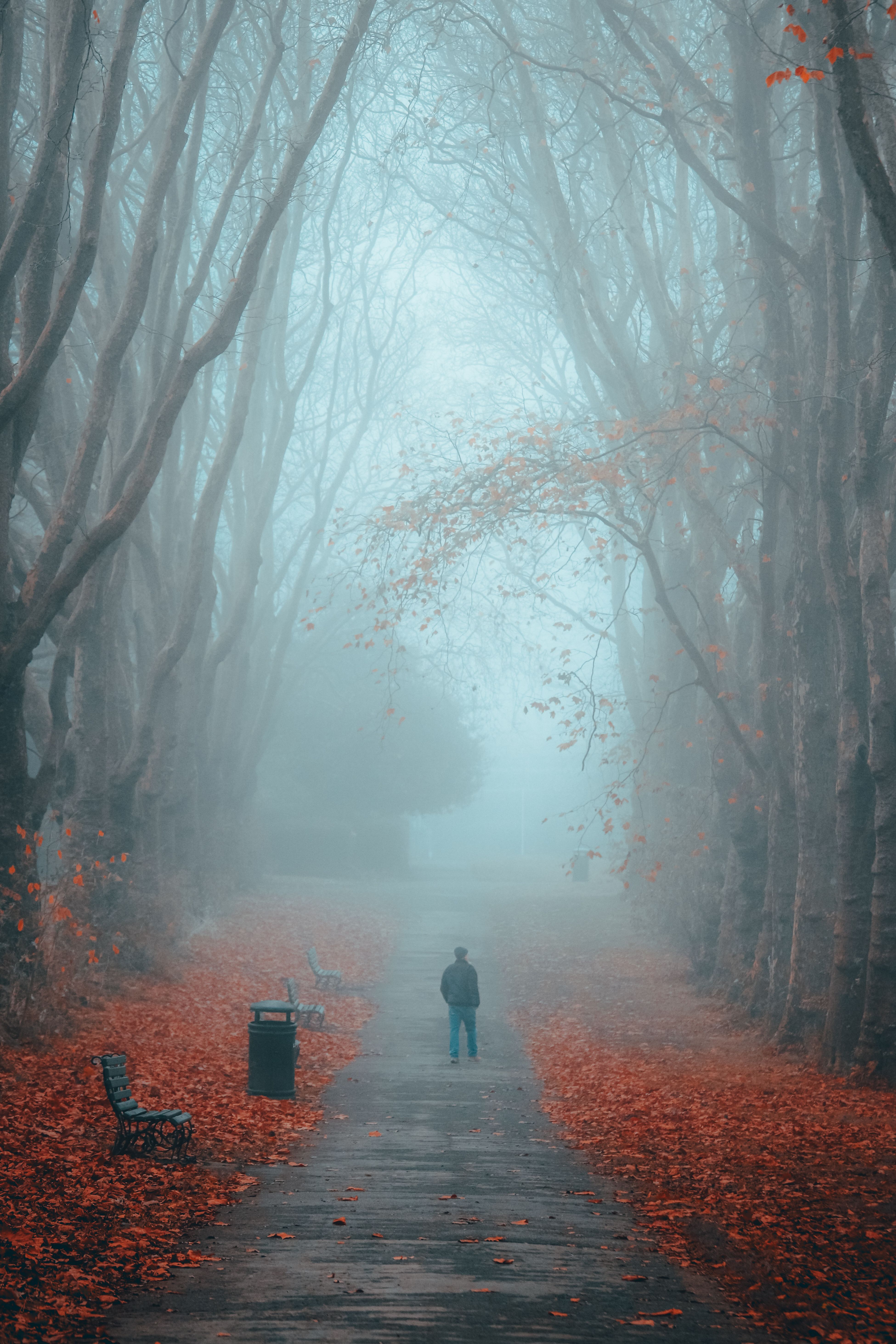 Man Walking in a Park in Autumn · Free Stock Photo