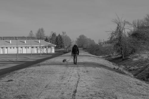 Free A man walks his dog along a frosty path, capturing a serene winter moment. Stock Photo
