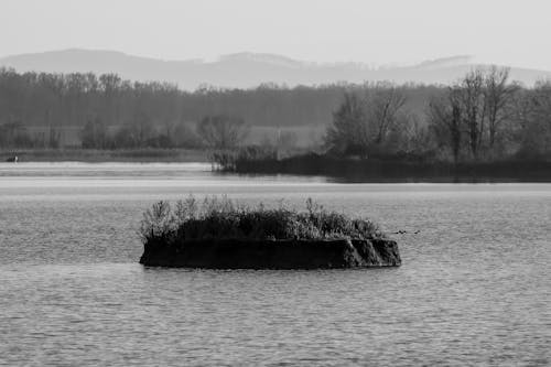 Island on Lake