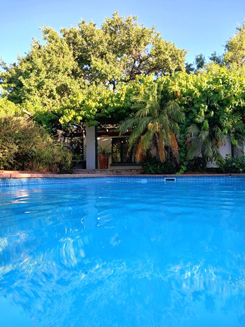Immagine gratuita di acqua, acqua azzurra, area piscina