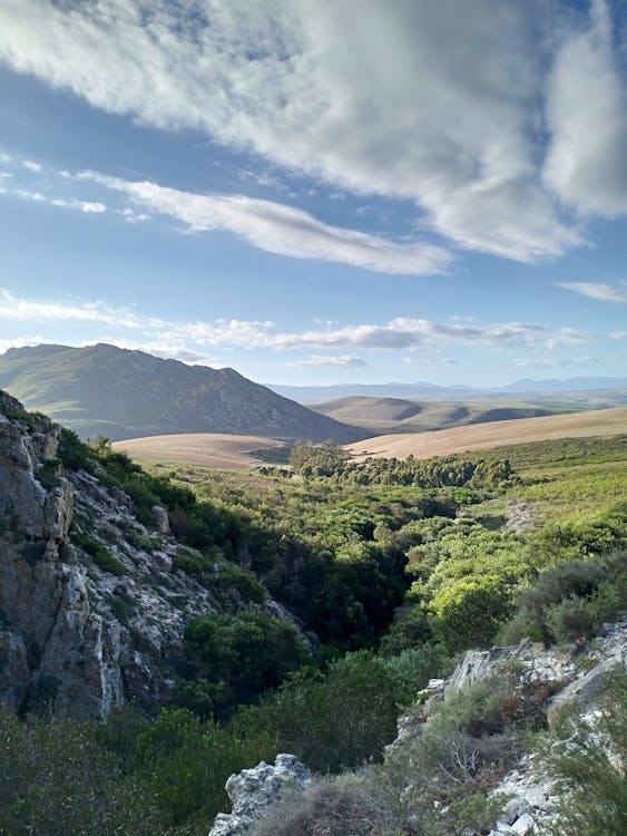 Summer Clouds over a Hilly Landscape