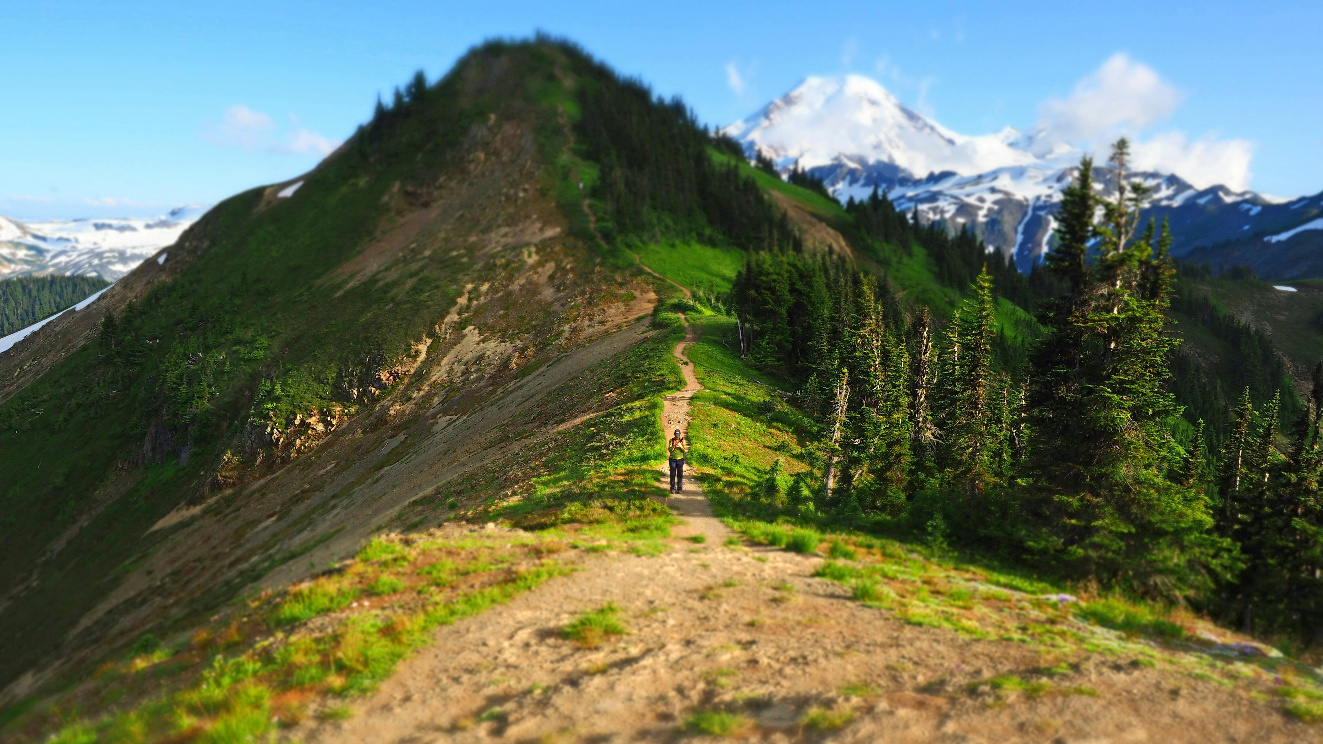 Blue Ox Studio · Photography