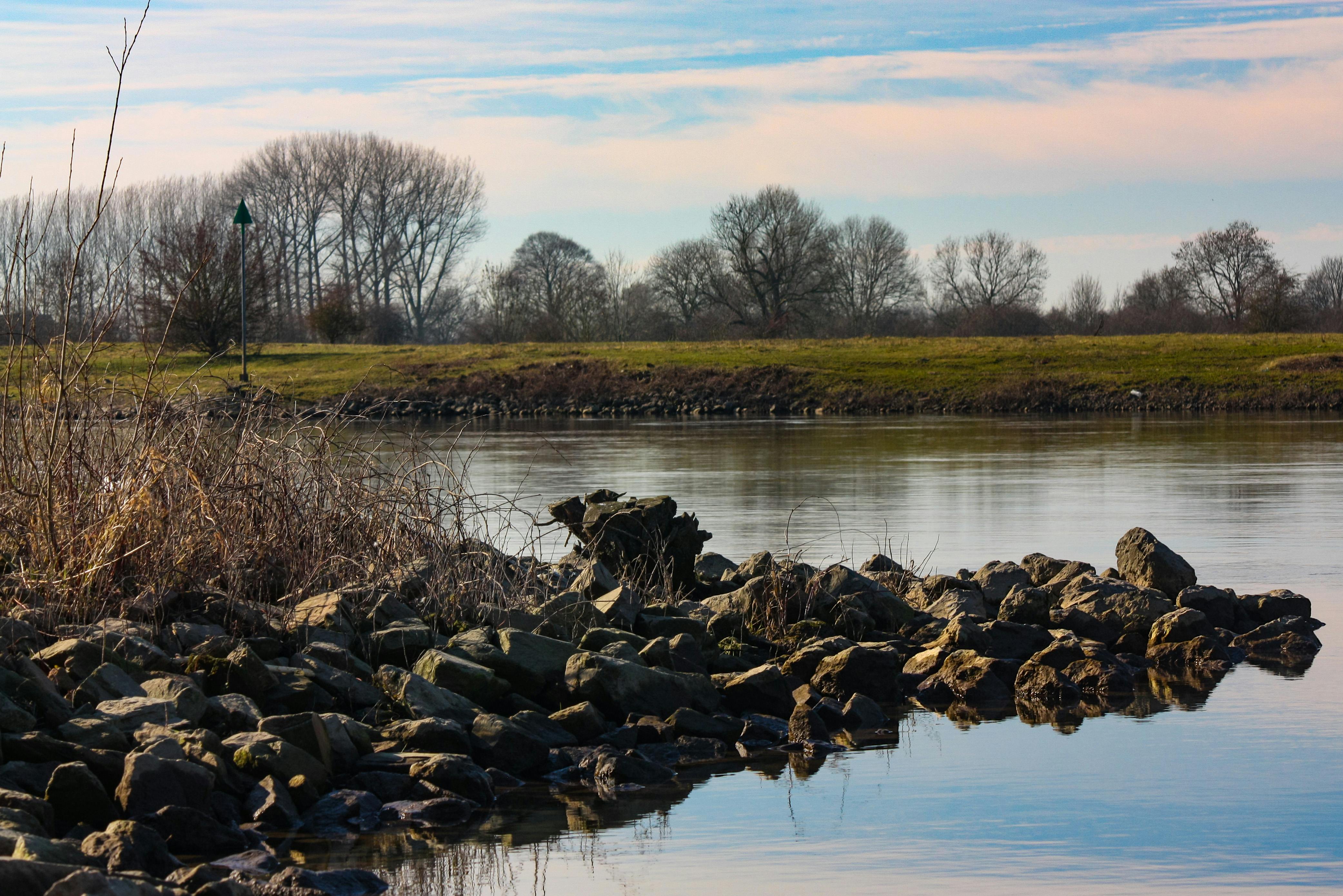 Free stock photo of riverside