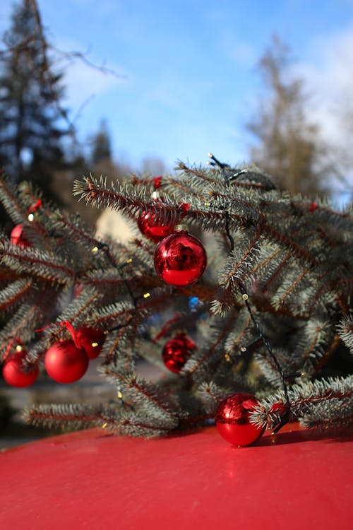 Fotos de stock gratuitas de ambiente navideño, árbol de Navidad, coche rojo