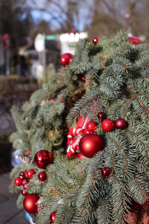 Fotos de stock gratuitas de ambiente navideño, árbol de Navidad, coche rojo