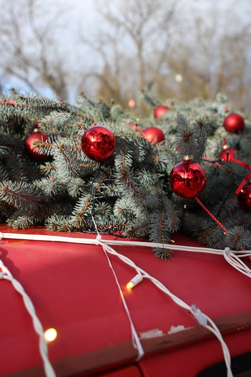 Fotos de stock gratuitas de ambiente navideño, árbol de Navidad, coche rojo