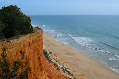 Scenic View of a Cliff and Beach by the Sea 
