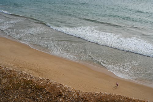 Aerial View of People Walking on a Beach 