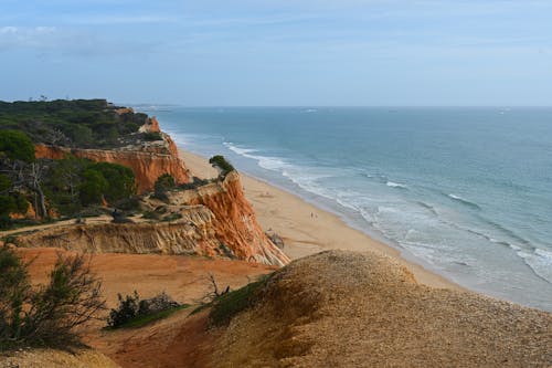 คลังภาพถ่ายฟรี ของ ชายทะเล, ชายหาด, ทะเล