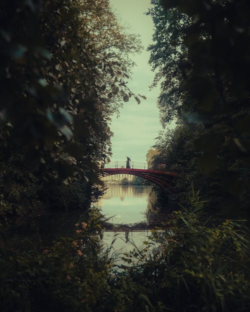 Footbridge over Creek in Park in Berlin, Germany