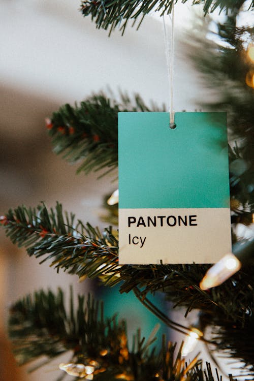 Close-up of a Paint Swatch Hanging on a Christmas Tree