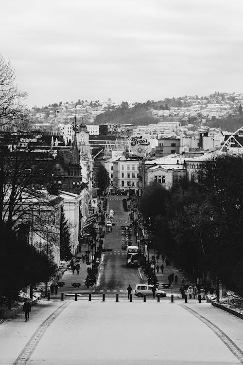 Kostenloses Stock Foto zu bäume, black-and-white, city centre