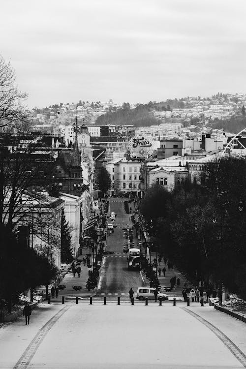 Foto profissional grátis de árvores, cidade, cidades