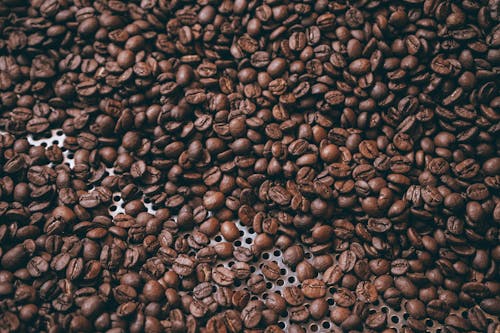 Close-up of Coffee Beans 