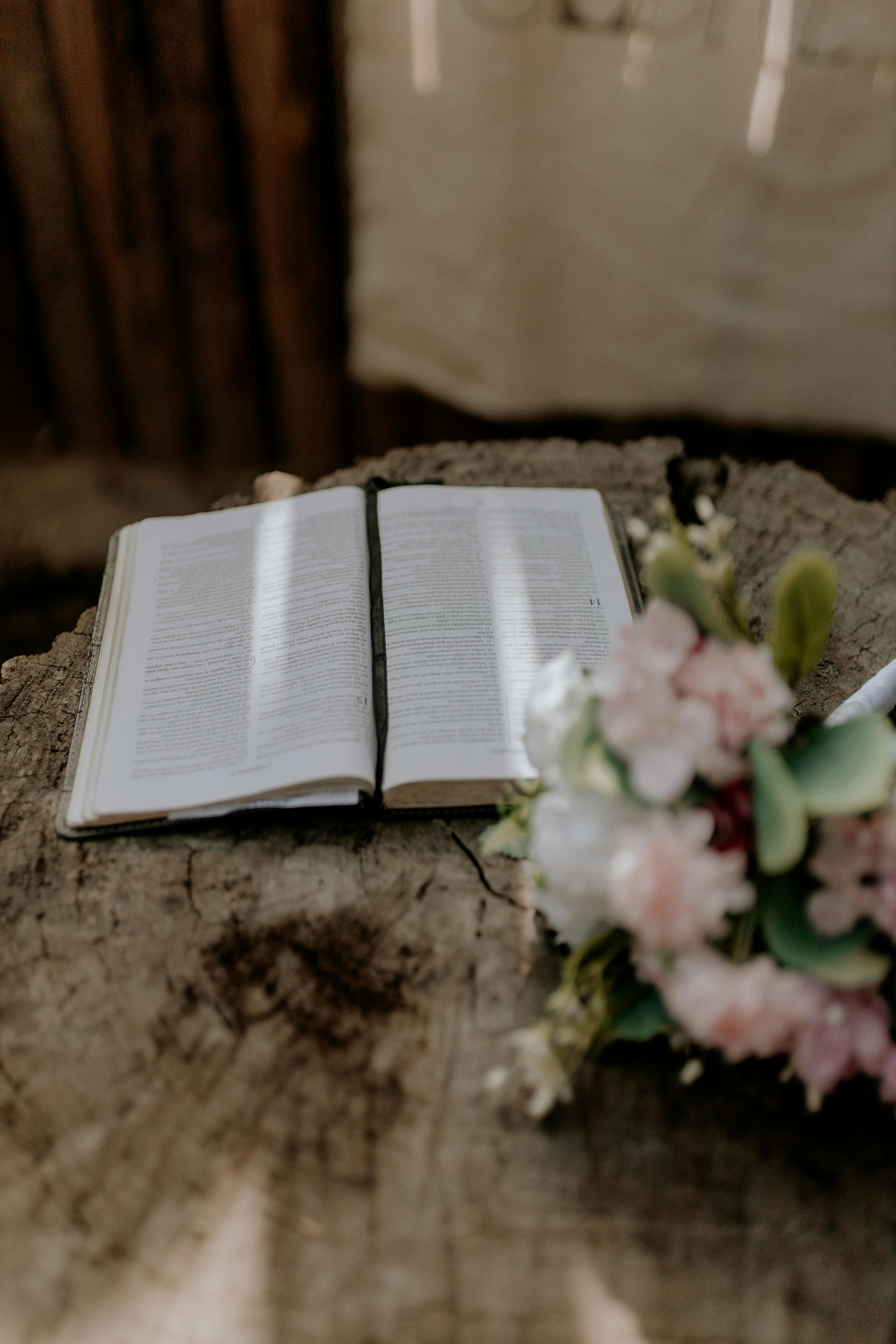 Flowers and Book on a Log · Free Stock Photo