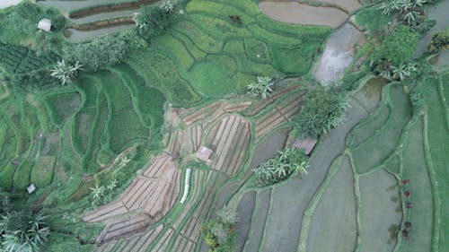 Imagine de stoc gratuită din agricultură, câmpuri, fotografie aeriană