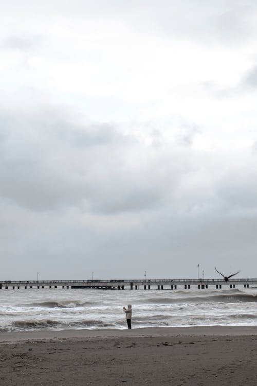 Immagine gratuita di acqua, mare, movimento