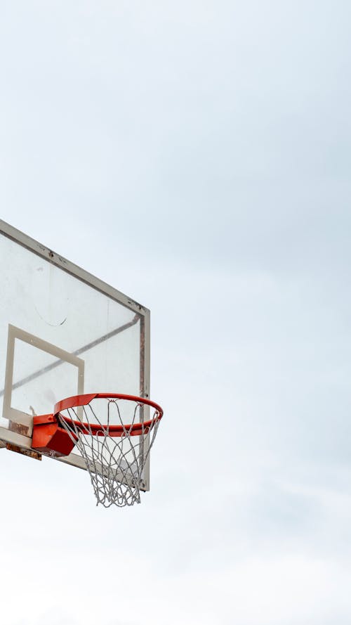 Basketball Hoop with Net