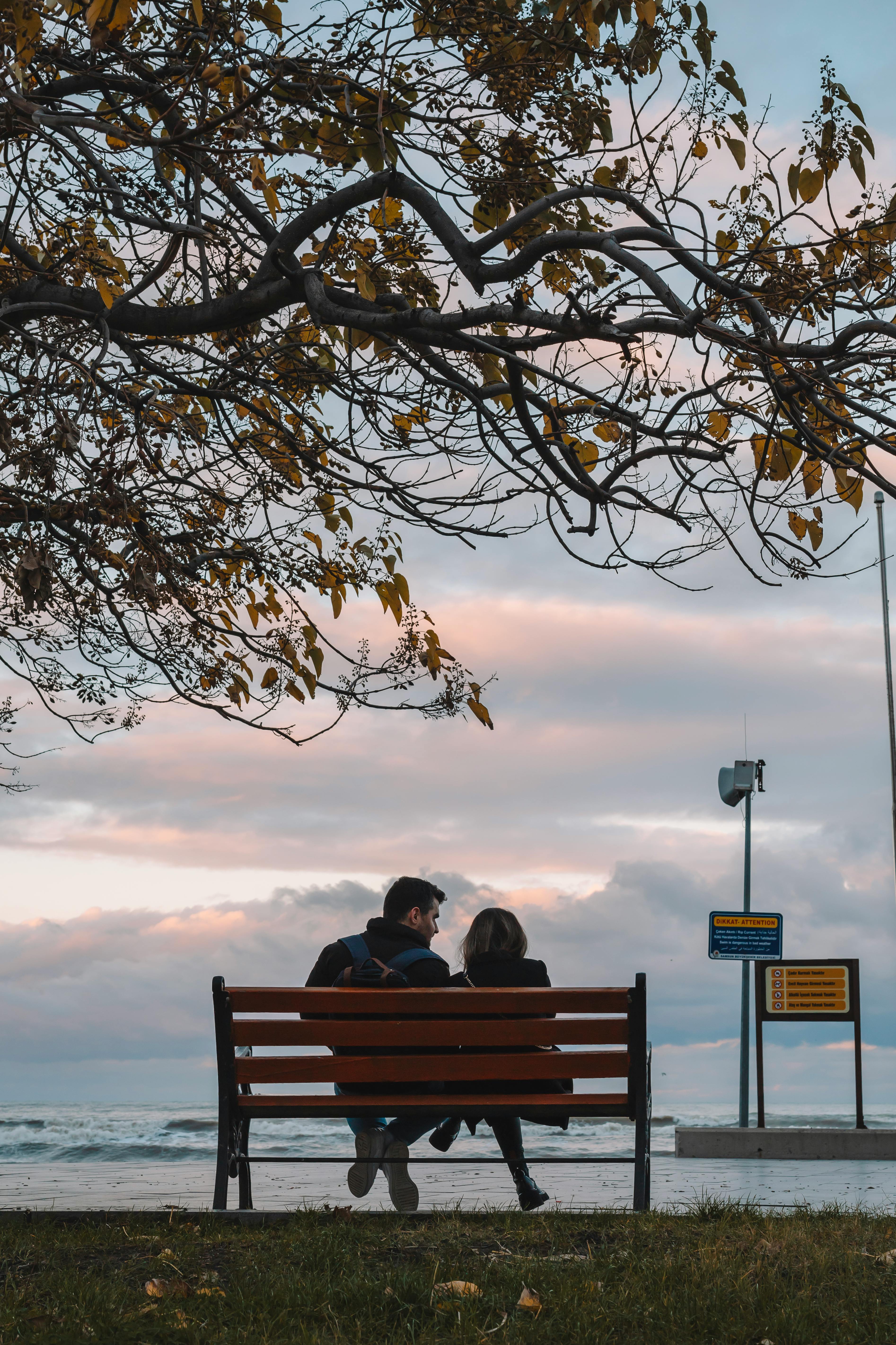 יתרונות חברתיים ופסיכולוגיים של חופשה עם מדורה ערב (באישור)