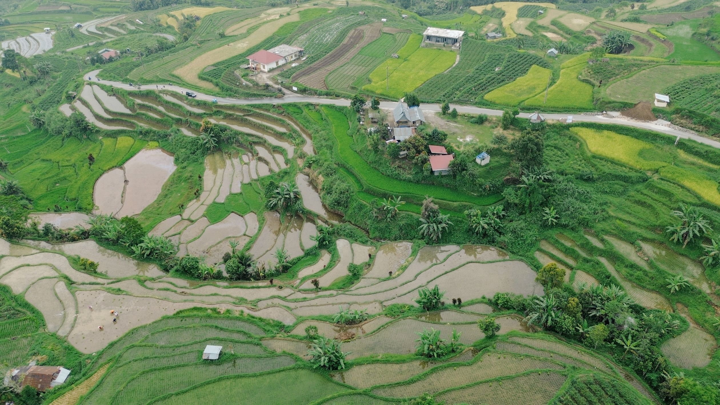 Aerial View of Tropical Village and Croplands · Free Stock Photo