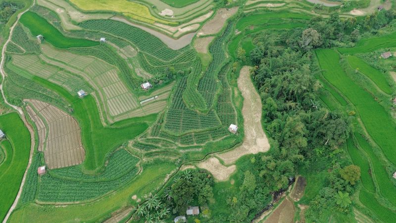 Aerial View of Tropical Village and Croplands · Free Stock Photo