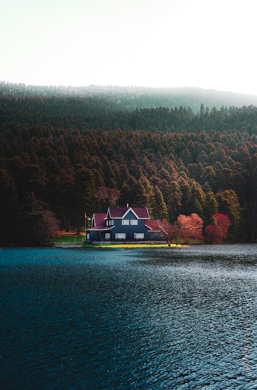 가르다 호수, 가벼운, 가을의 무료 스톡 사진