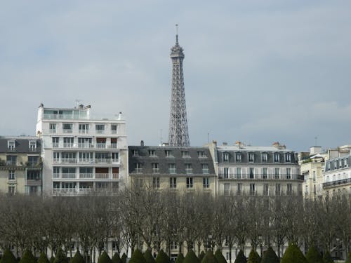 Eiffel Tower Behind Parisian Buildings