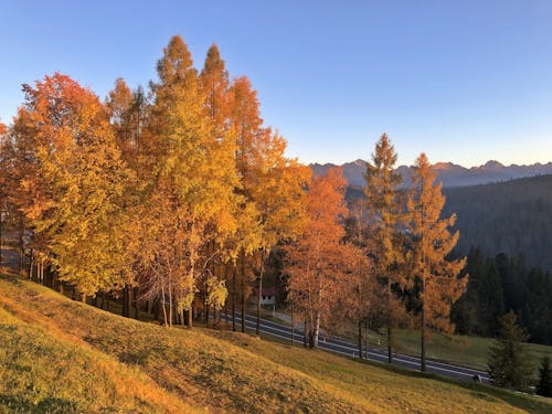 丘陵, 季節, 山 的 免費圖庫相片