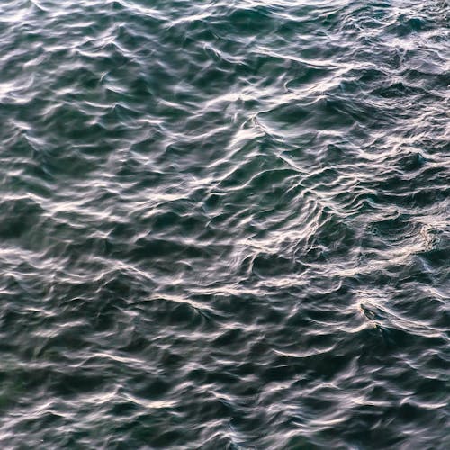 Ripples on a Water Surface 