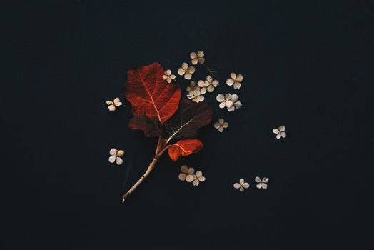 An artistic arrangement of autumn leaves and white flowers floating on a dark water surface.