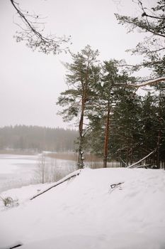 Peaceful snow-covered landscape with coniferous trees by a frozen lake, evoking winter tranquility.