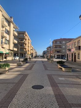 Ovar