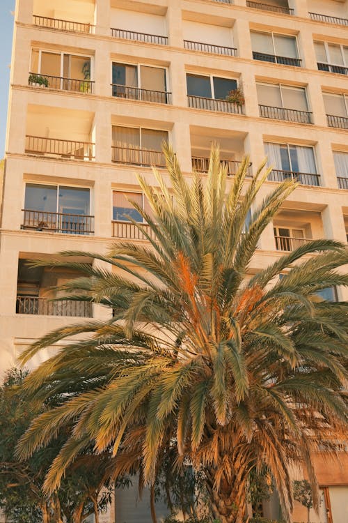 Fotos de stock gratuitas de balcones, casa de pueblo, casas adosadas