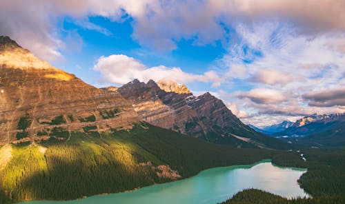 Scenic View of the Peyto Lake and Mountains in the Banff National Park in Alberta, Canada
