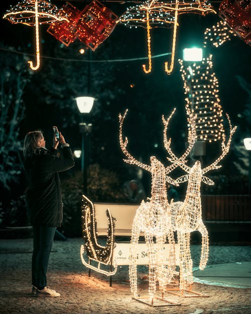 Immagine gratuita di donna, giacca, illuminato