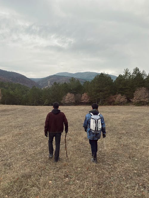 Gratis arkivbilde med åker, eventyr, fjell