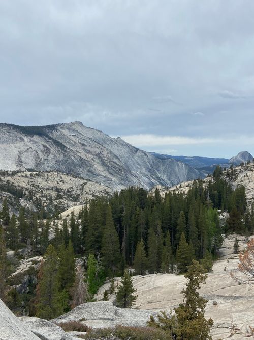 Free Stunning view of Yosemite's granite mountains and dense forests under a cloudy sky. Stock Photo