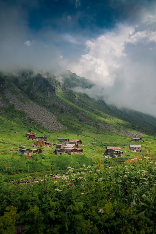 Huts in a Summer Valley