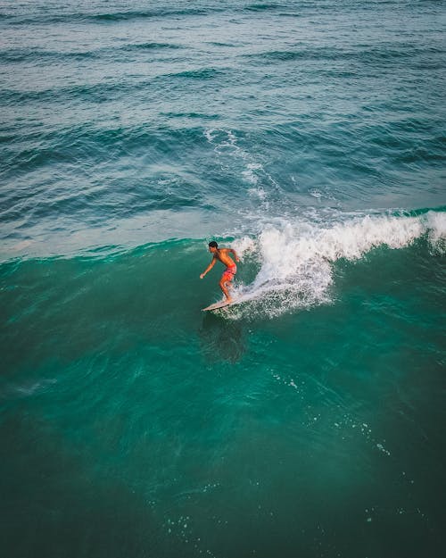 Surfer on Wave