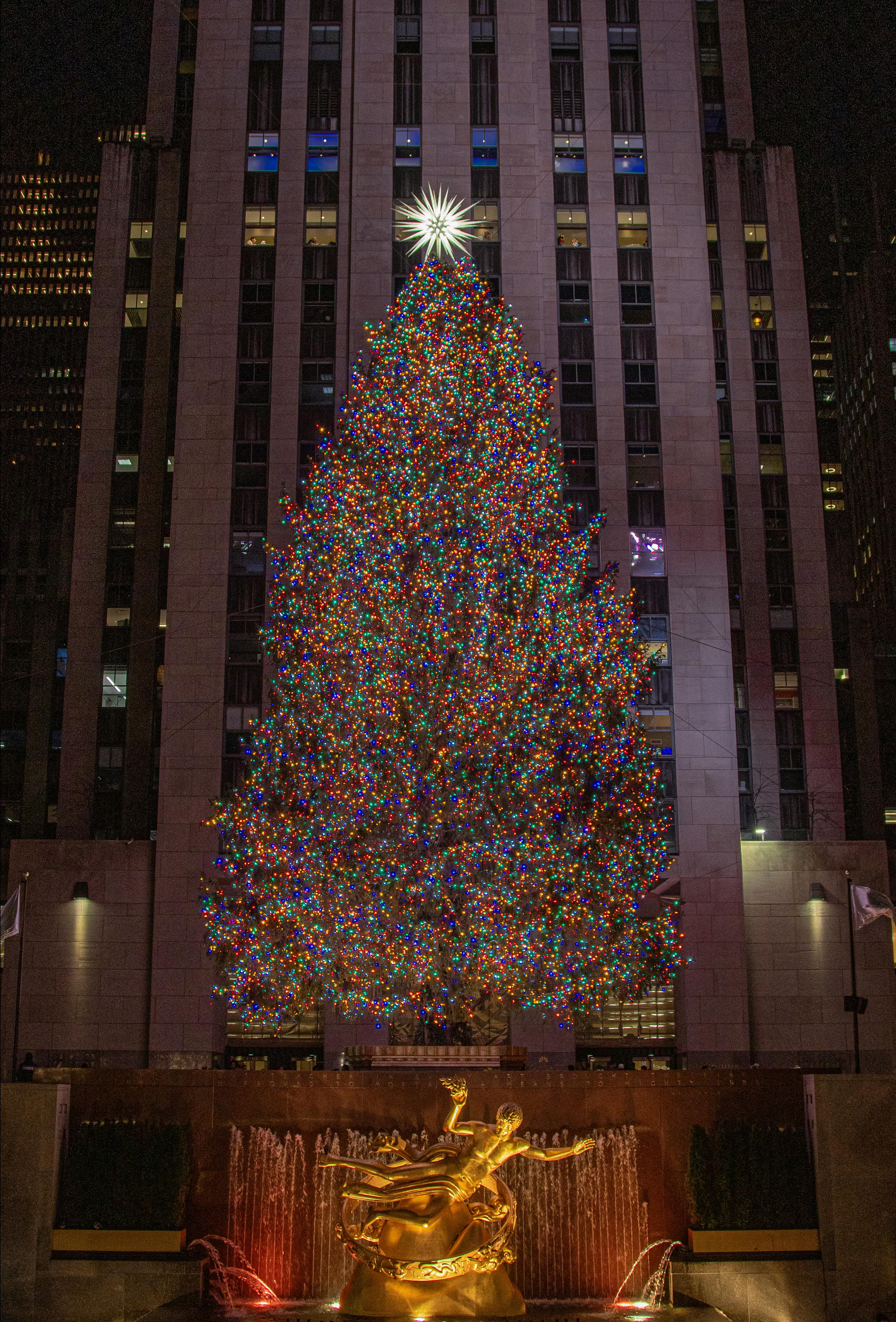 Choosing the Right Features for Your Blending ‌Needs