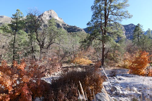 Δωρεάν στοκ φωτογραφιών με background, tx, βουνά